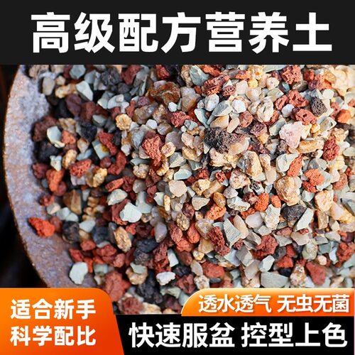 多肉颗粒土多肉专用营养土壤种植铺面石纯颗粒彩虹石小苗成株老桩