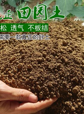 天然田园土壤种植土种菜阳台营养土种果树沙土通用普通泥土菜园土