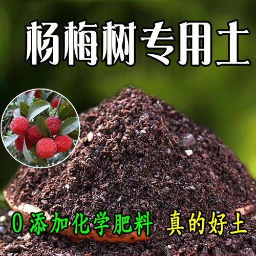石淙杨梅树通用透气营养土