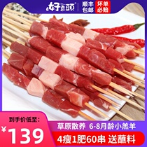 Fresh and killed lamb kebab 1020g Inner Mongolia grassland barbecue ingredients lamb kebab semi-finished wholesale 60 kebabs