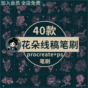 procreate笔刷ps笔刷牡丹康乃馨兰花牵牛花杜鹃花朵花卉线稿笔刷