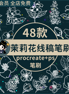 茉莉花植物鲜花花朵花卉装饰插画线稿辅助线ps笔刷procreate笔刷