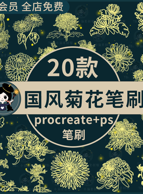 国风菊花花朵花卉植物鲜花国画装饰插画线稿procreate笔刷ps笔刷