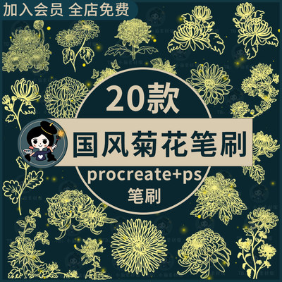 国风菊花花朵花卉植物鲜花国画装饰插画线稿procreate笔刷ps笔刷