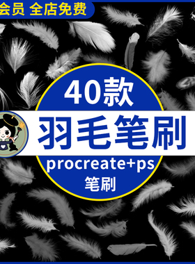 鸟类白色羽毛procreate笔刷后期羽毛飘落仙美特效插画ps笔刷素材