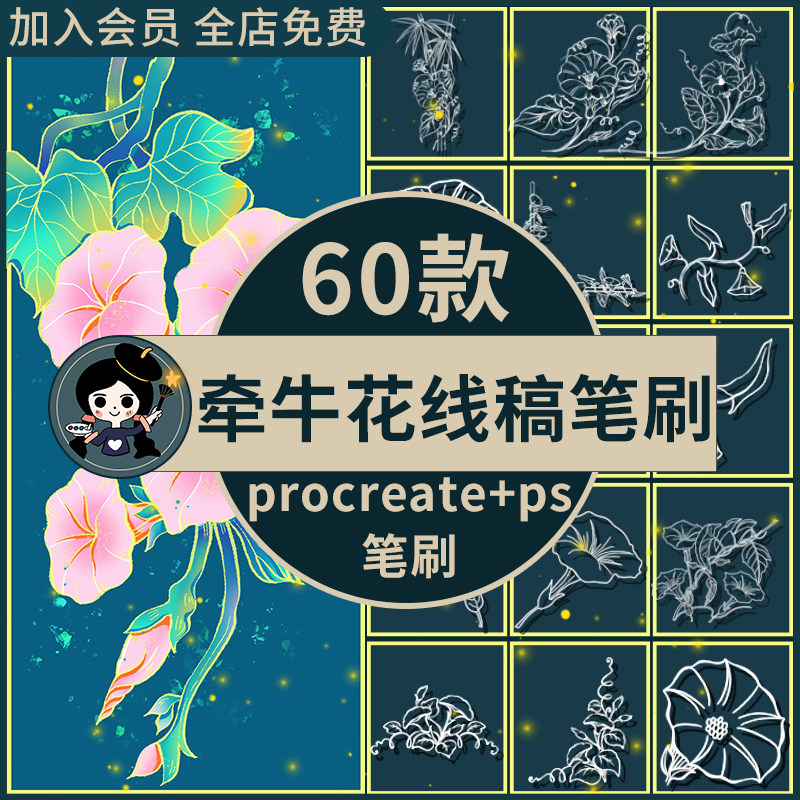 procreate笔刷ps笔刷牵牛花线稿喇叭花花卉鲜花植物花朵手绘插图