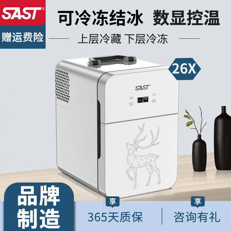 SAST迷你小冰箱小型家用宿舍车载冰箱mini学生小冰柜冷藏冷冻保鲜