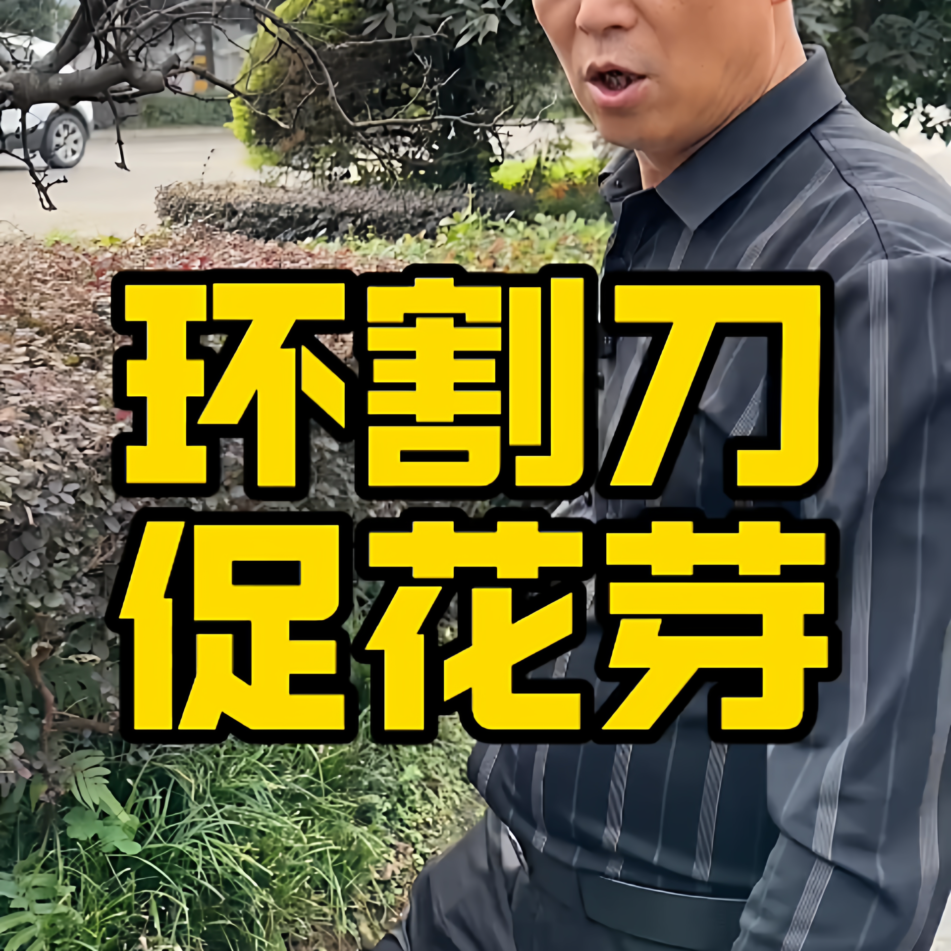 环割刀果树专用柑橘剥皮剪新型园林修枝剪枣树葡萄割皮开甲环切