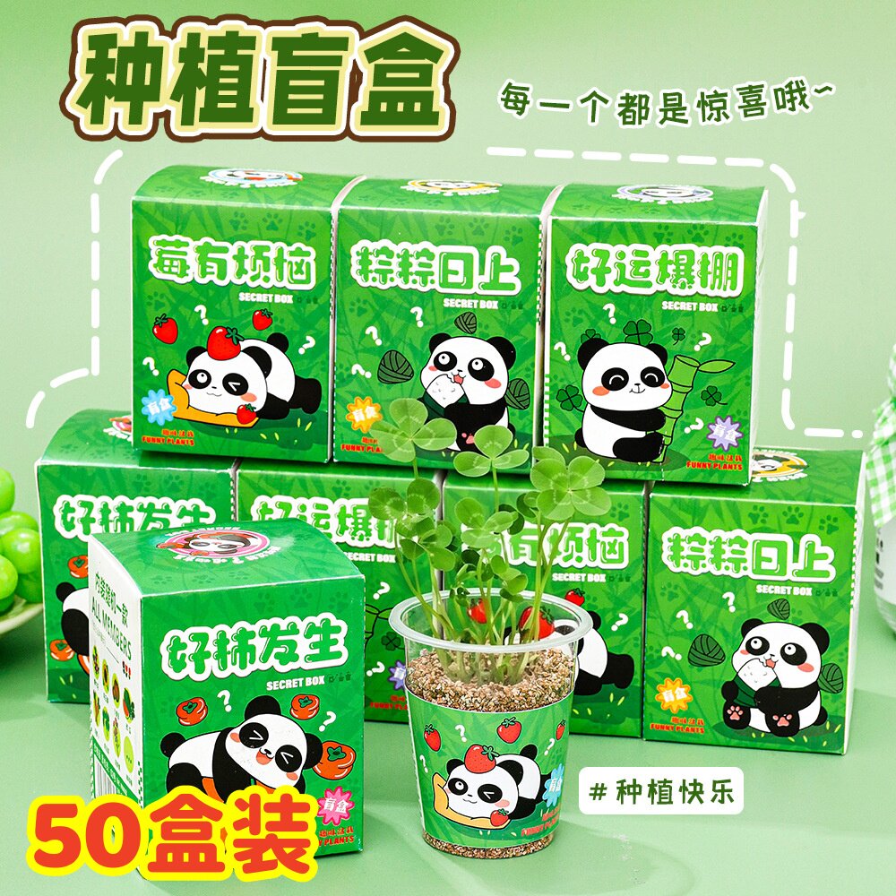 幼儿园开学小礼物熊猫创意种植盲盒盆栽学生奖励小礼品儿童伴手礼