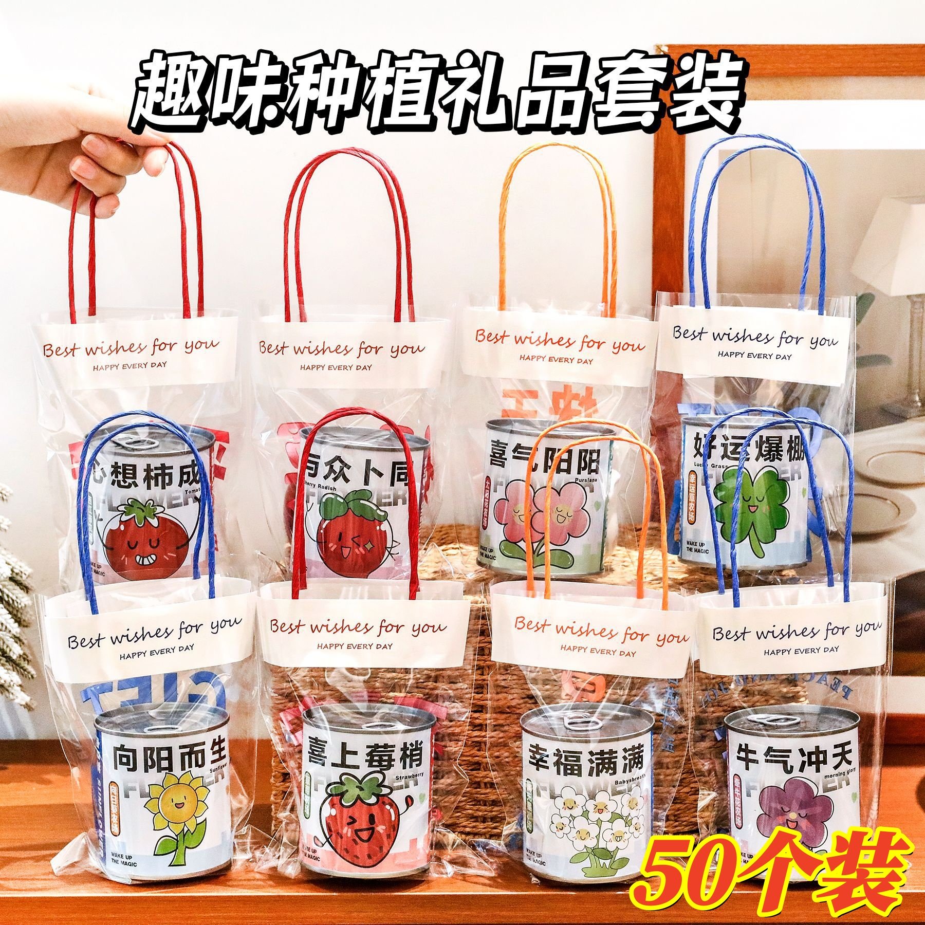 学生奖励小礼品儿童创意种植盆栽盲盒奖品幼儿园全班活动小礼物