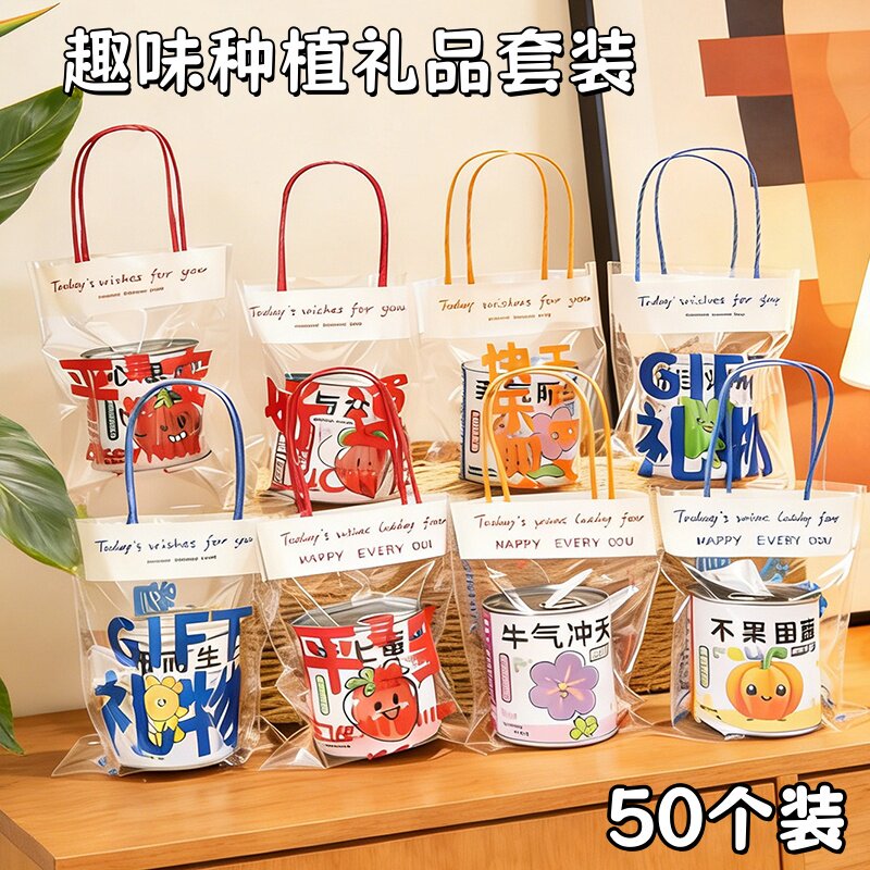 儿童开学伴手小礼品盆栽种植盲盒幼儿园学生创意活动奖励小礼物