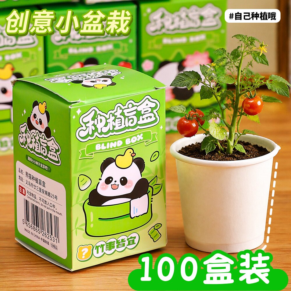 熊猫种植盲盒小盆栽奖品幼儿园学生创意奖励小礼物儿童生日伴手礼
