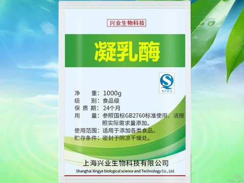 意大利进口凝乳酶粉末活力自制