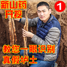 铁棍山药新鲜河南焦作温县怀山药正宗垆土铁杆山药5斤干棒淮山药