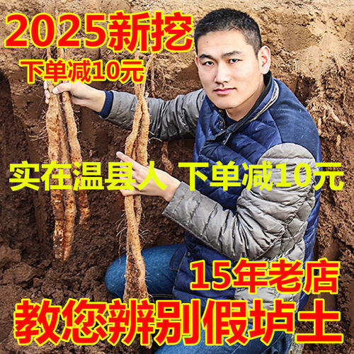铁棍山药新鲜河南焦作铁杆怀山药