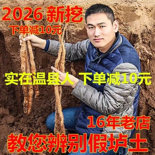 铁棍山药新鲜河南焦作铁杆怀山药