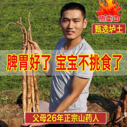 铁棍山药新鲜河南焦作温县怀山淮山药铁棒垆土正宗铁杆淮山5斤装