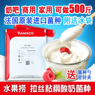 进口丹尼斯克酸奶发酵菌商用益生菌酸奶菌粉家用酸奶发酵粉883型