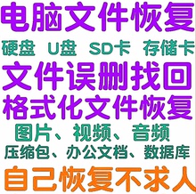 电脑u盘文件恢复数据软件移动硬盘工具sd卡垃圾桶删除恢复Mac/Win