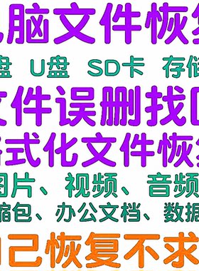 电脑u盘文件恢复数据软件移动硬盘工具sd卡垃圾桶删除恢复Mac/Win