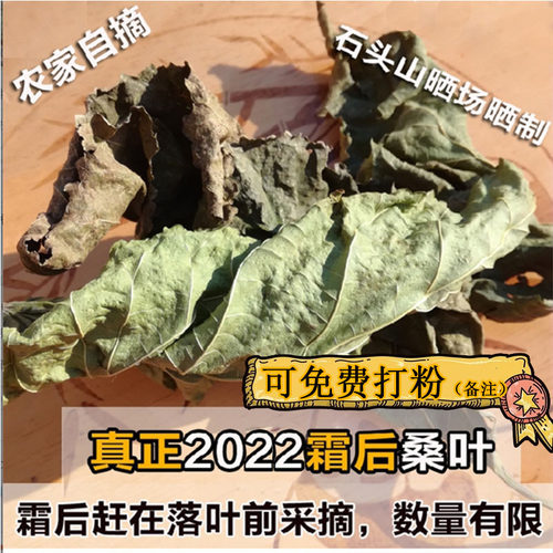 干桑叶 2025年经霜打霜后桑叶干冬可磨粉入药中药材包邮新鲜500g
