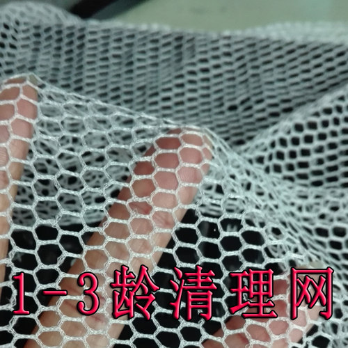 大蚕小蚕网清理网养蚕工具蚕宝宝