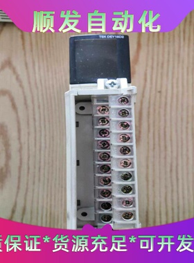 施耐德开关量输入模块TSXDEY16D2，成色如图，功能完好--议价商品