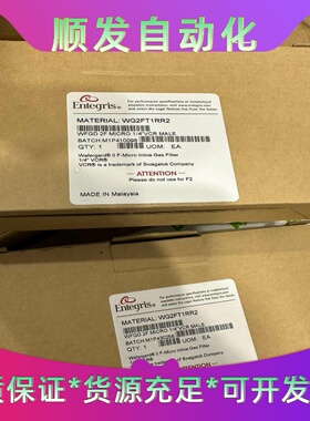 英特格气体过滤器WG2FT1RR2WGFGT1PR1W--议价商品