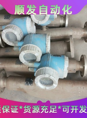 E+H 恩德斯豪斯 Promass300系列质量流量计，8F一议价商品