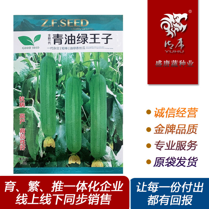 香蕉丝瓜油皮肉丝瓜杂交短棒香丝瓜蔬菜种子彩包青油绿王子原装