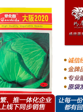 大版甘蓝京丰一号平包种子牛心早熟春丰甘蓝尖包甘之都铁头蔬菜籽