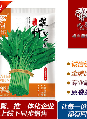 进口竹叶空心菜蔬菜种子叶片细长口感清香脆嫩450克春夏秋季栽培