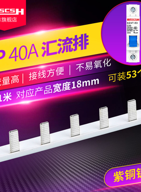 DZ47s-63/1P单空气开关NBE7紫铜汇流排空开断路器间距18mm40/100A