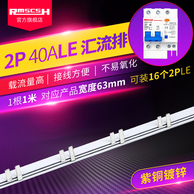 dz47le漏电保护器2p断路器紫铜