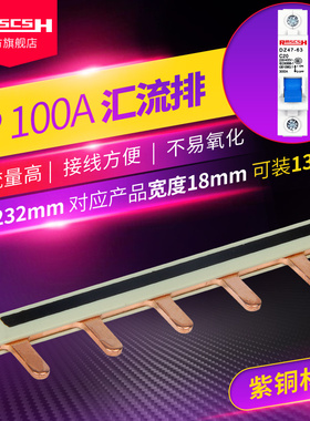 DZ47S-63断路器NBE7空气开关紫铜汇流排12/13位1P18mm100A9XPH112