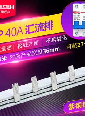 DZ47S-63空气开关2P紫铜汇流排NBE7空开断路器间距36mm40/80/100A