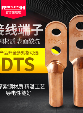 双孔接头DTS25/35/50/70/95/120/150/185/240/300铜鼻子接线端子