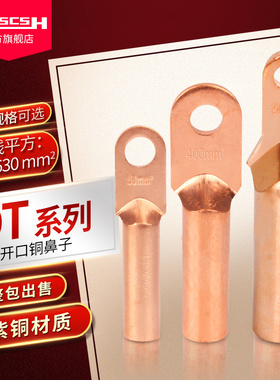 DT10/16/25/35/50/70/95/120/150/185/240/300平方铜鼻子接线端子