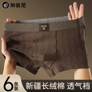 秋冬款 纯棉男生2025新款 100全棉男款 四角裤 衩 男士 头平角短裤 内裤