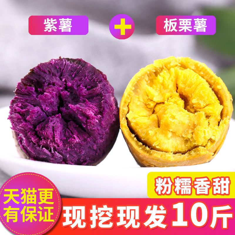 10斤农家新鲜红薯组合紫薯栗子番薯混搭装板栗黄心地瓜现挖山芋