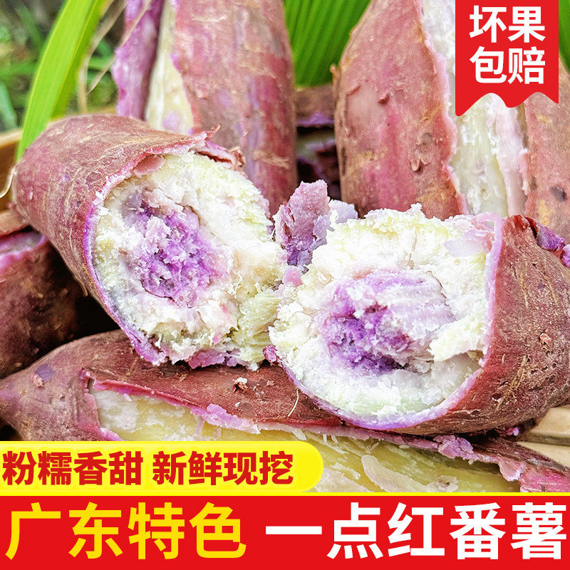 红薯新鲜冰淇淋番薯一点红广东沙地农家自种现挖花心紫薯地瓜10斤
