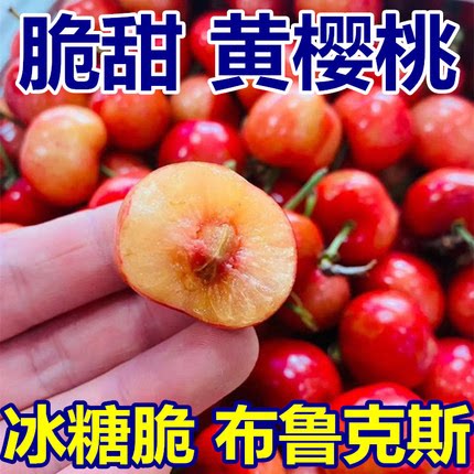 黄樱桃脆甜布鲁克斯自家果园包邮