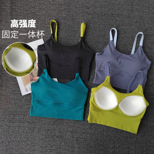 高强度一体运动内衣女聚拢防震瑜伽文胸透气速干跑步训练健身背心