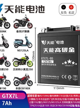 适用豪爵迪爽HJ150-9摩托车电瓶DF150 DR160S DR150S NK150蓄电池