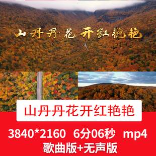 《山丹丹花开红艳艳》爱国歌曲舞蹈舞台晚会演出LED大屏背景视频