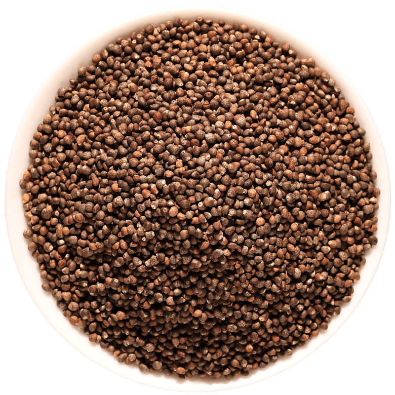 白苏子500g/250克鸟食新货荏子玉苏子鹦鹉金丝雀 芙蓉鸟 黄雀鸟粮