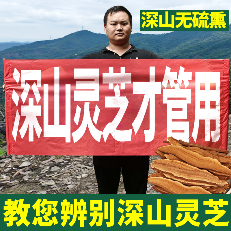 灵芝片长白山干货泡酒