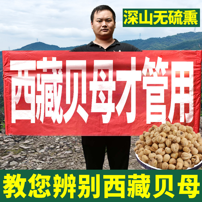 西藏贝母50g官方旗舰店无硫非川贝母粒粉中药材正宗西藏产