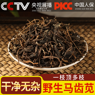 野生马齿苋中药材500g/250g干马齿苋泡澡无硫熏马齿苋新货洗澡
