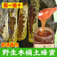 木桶土蜂蜜纯蜂蜜农家正品 百花蜜官方旗舰店蜜糖采纯正野生天然花